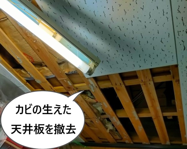 カビが生えていた天井板の撤去　既存天井板を剥がしました